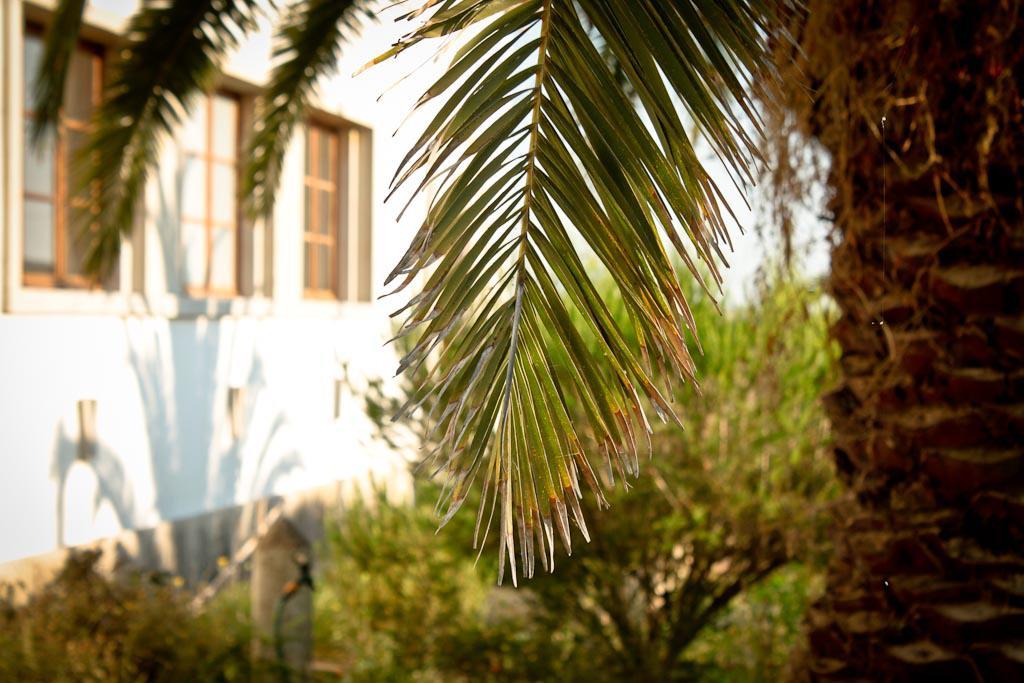 Cabeca Da Cabra Casa De Campo ปอร์โตโกโว ภายนอก รูปภาพ